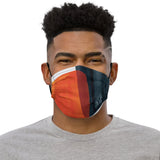 Abstract Face Mask